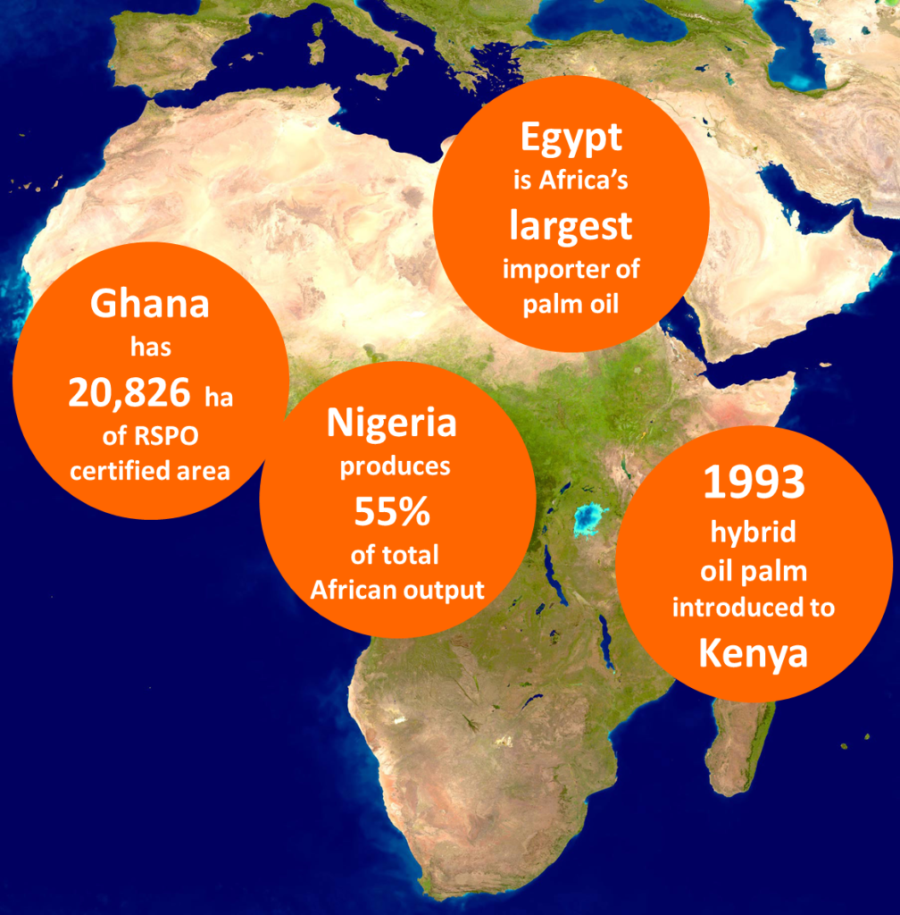 palm-oil-in-africa-sustainablepalmoil